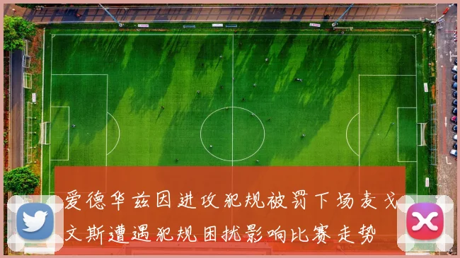 爱德华兹因进攻犯规被罚下场麦戈文斯遭遇犯规困扰影响比赛走势