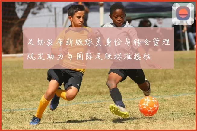 足协发布新版球员身份与转会管理规定助力与国际足联标准接轨