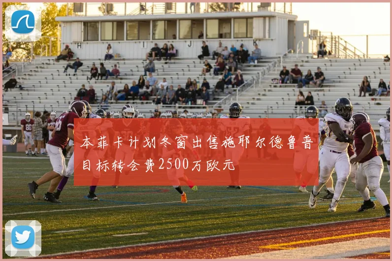 本菲卡计划冬窗出售施耶尔德鲁普目标转会费2500万欧元
