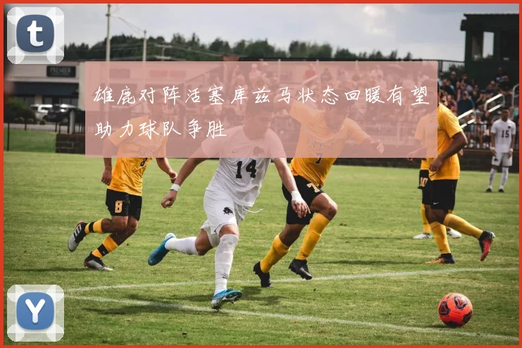雄鹿对阵活塞库兹马状态回暖有望助力球队争胜